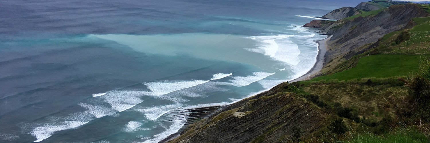 Dr. Laura Roberts banner