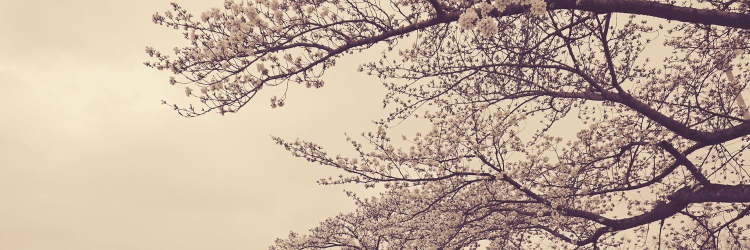 ennuiennui2's profile banner image