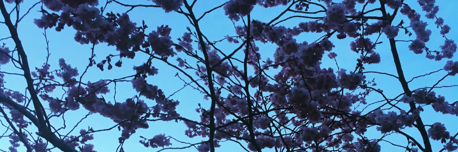 rebzodonnell's profile banner image
