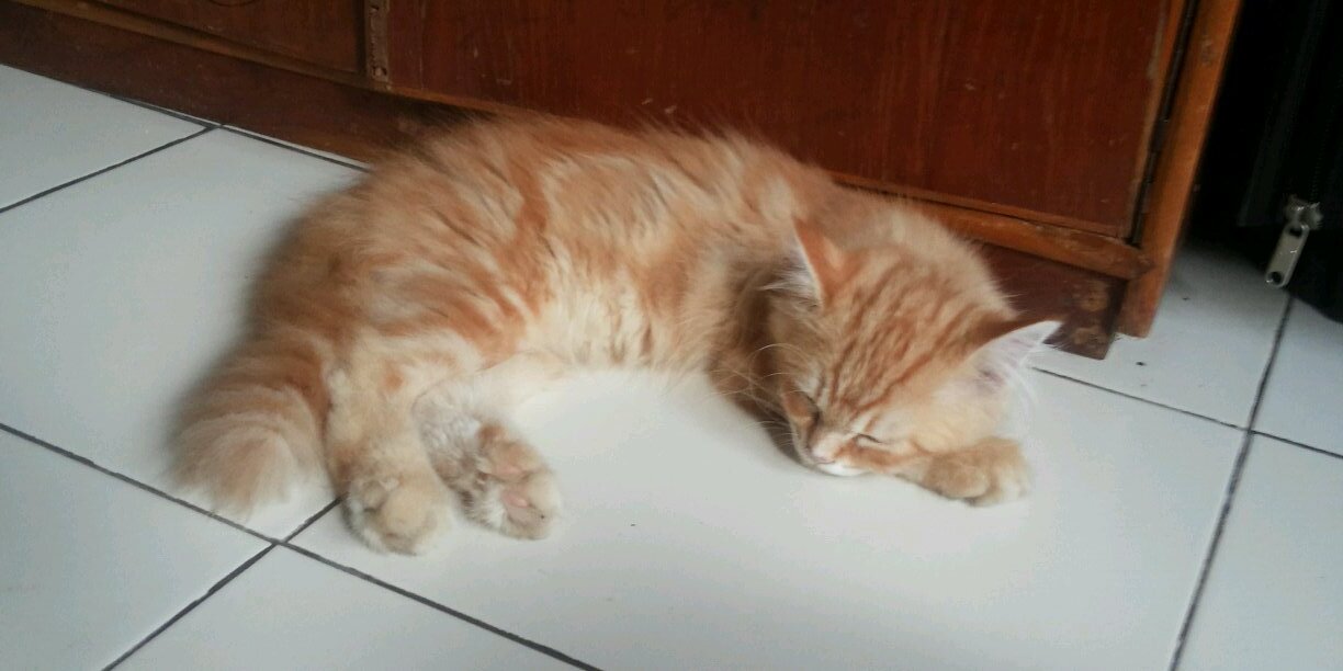akbar_saputra04's profile banner image