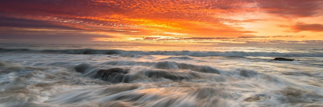 Rosemarie Calci-Besson banner