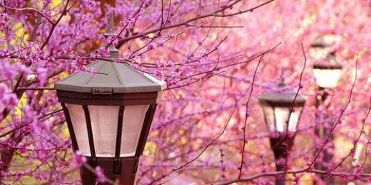 firza_pohan's profile banner image
