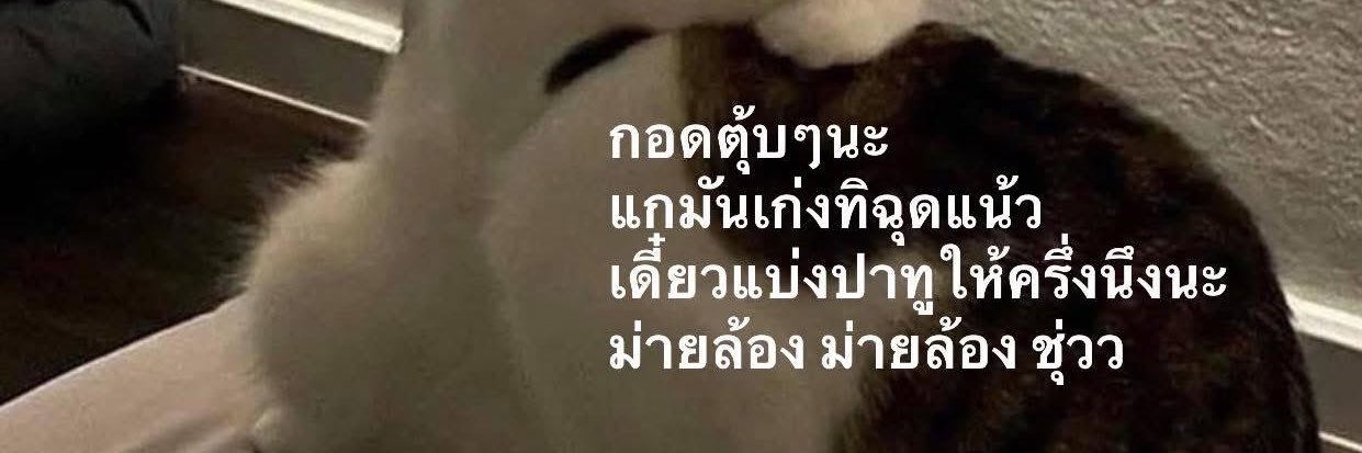 pnnyng's profile banner image