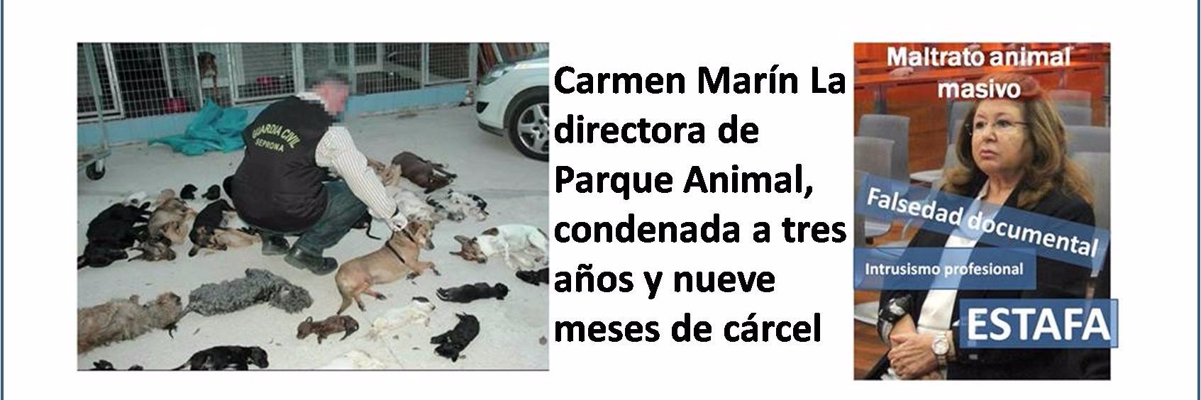 JusticiaAnimal banner