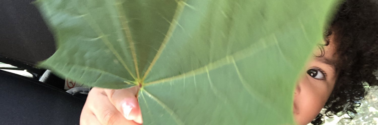 TweetBaraka's profile banner image