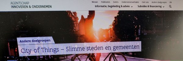 curious_Evy Profile Banner