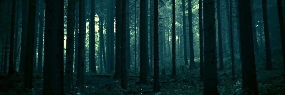 Krizdoleens's profile banner image