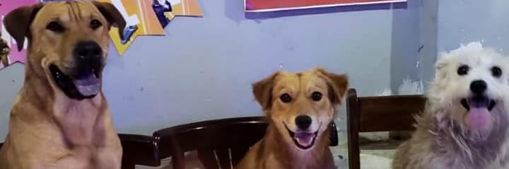 Gabitutiss's profile banner image