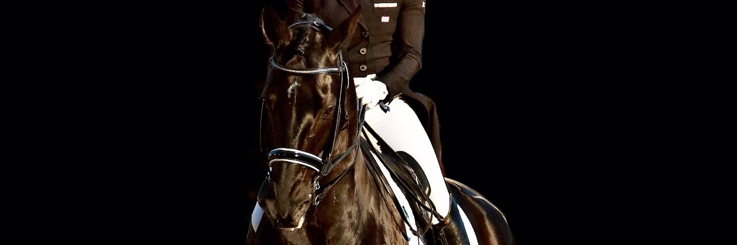 WGDressage's profile banner image