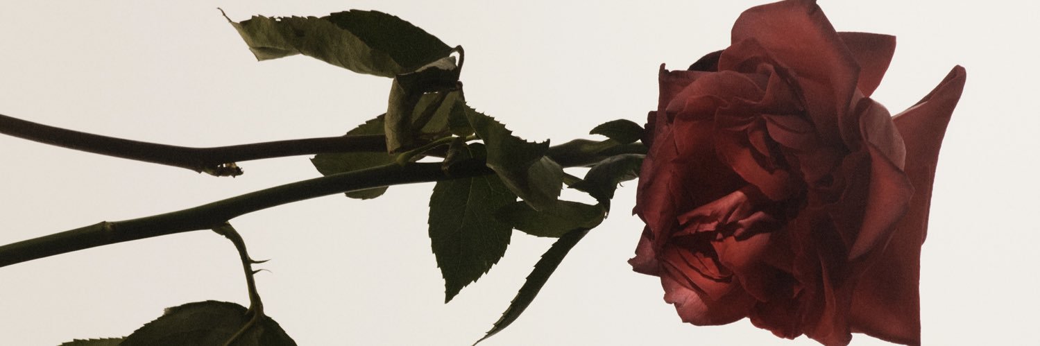 ThompsonGamboa's profile banner image