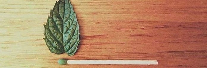 caippora's profile banner image