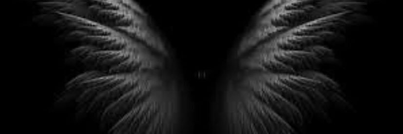 NazliAltun's profile banner image