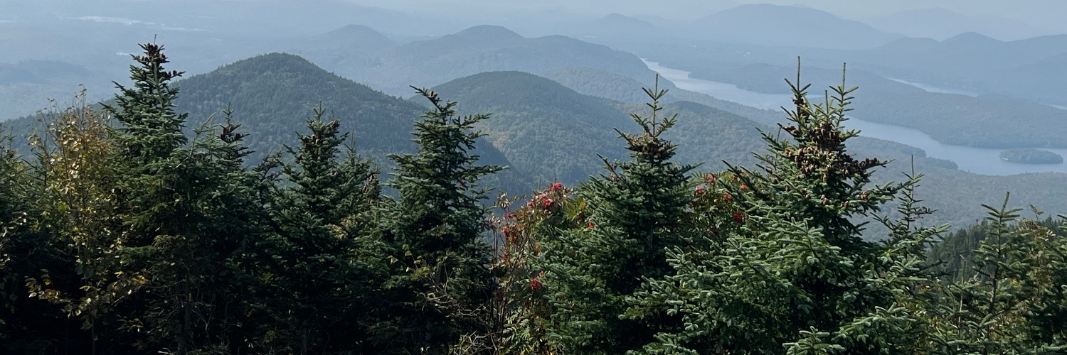 Constitutional American.$NATI banner