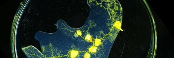 UWE_CSCT Profile Banner