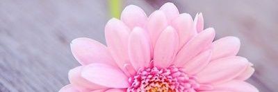 xtineacera's profile banner image