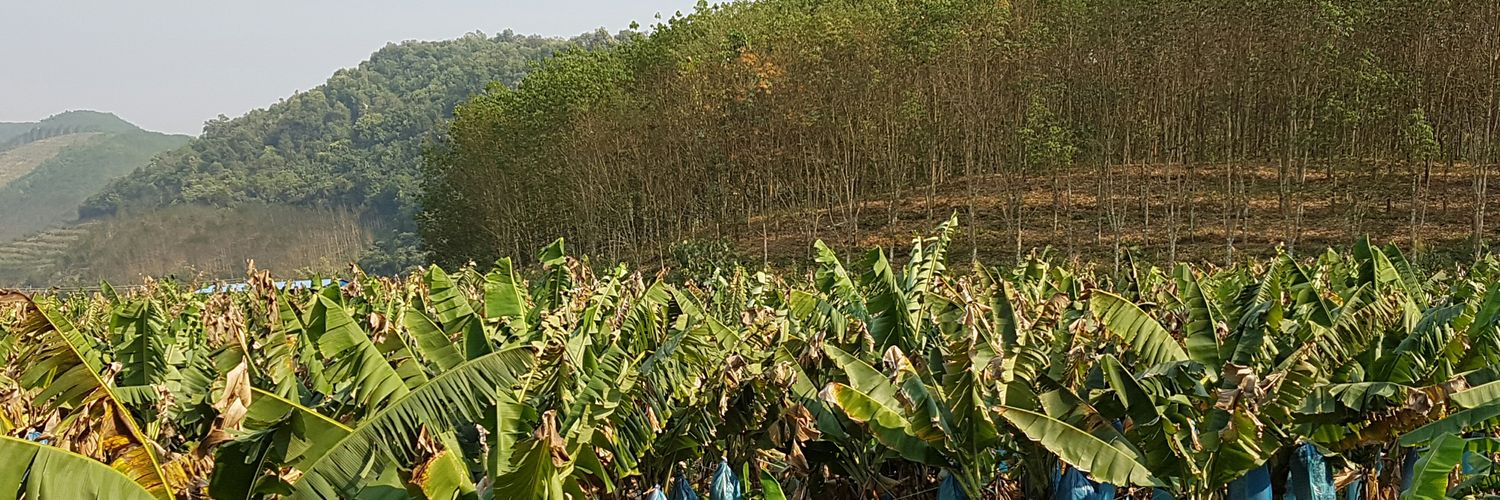 R4D Telecoupling banner