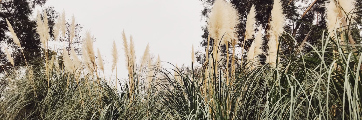 ellenmurray86's profile banner image