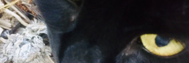 Pneundlinger's profile banner image