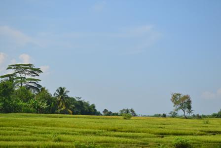 Dede Mahpudin banner