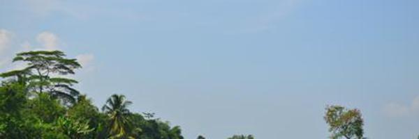 dedeStupid Profile Banner