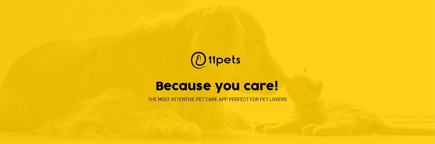 11pets banner