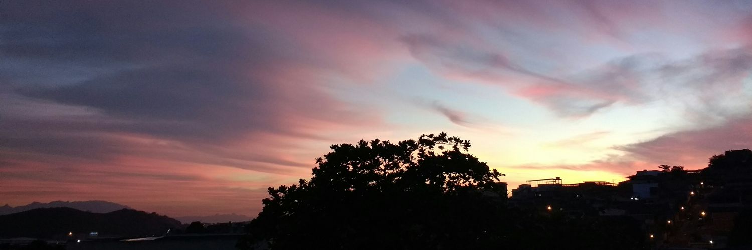 satanaires_'s profile banner image