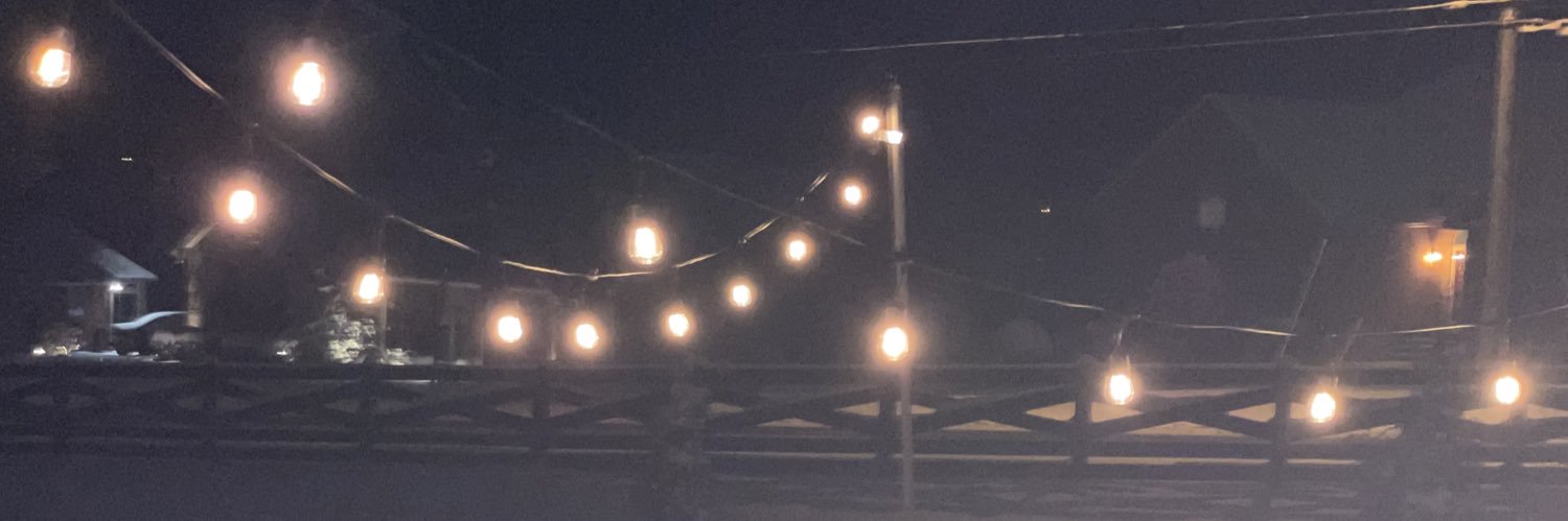 DLSNichols's profile banner image