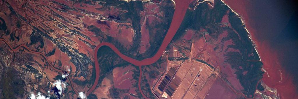 Mathieu Lièvre banner