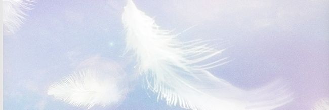 chika28113's profile banner image