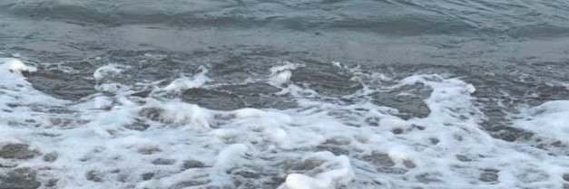 seainpoem's profile banner image