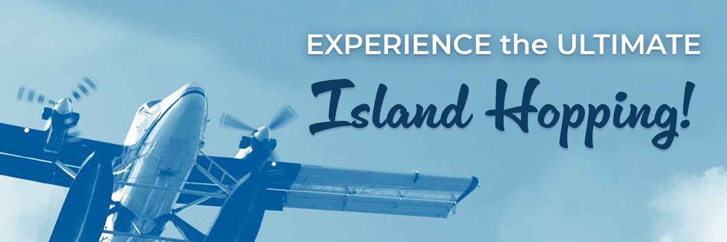 FlySeaborne's profile banner image