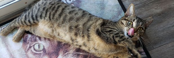 BethP9999 Profile Banner
