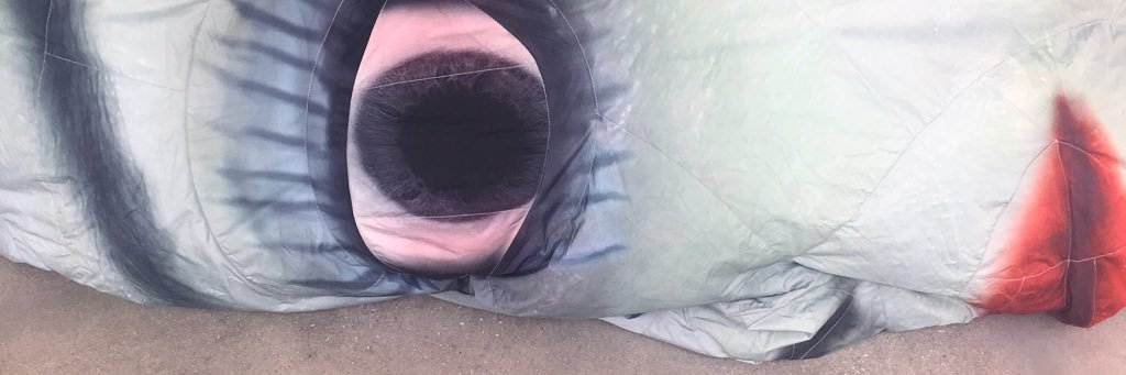 EricaEyres's profile banner image