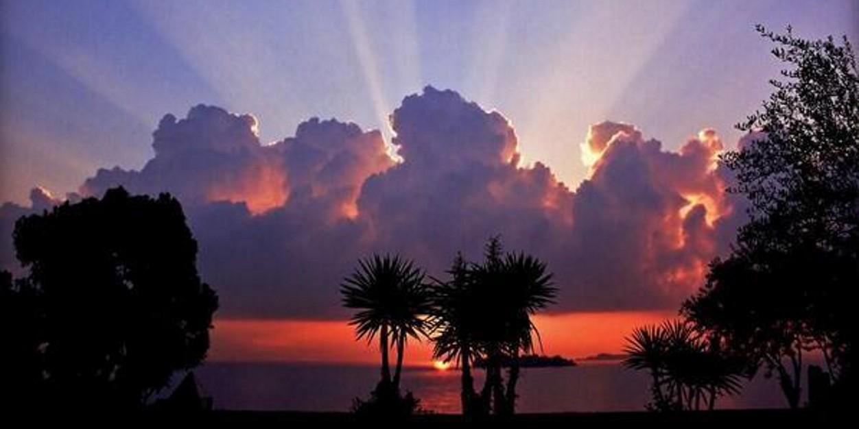 K_Adsay's profile banner image