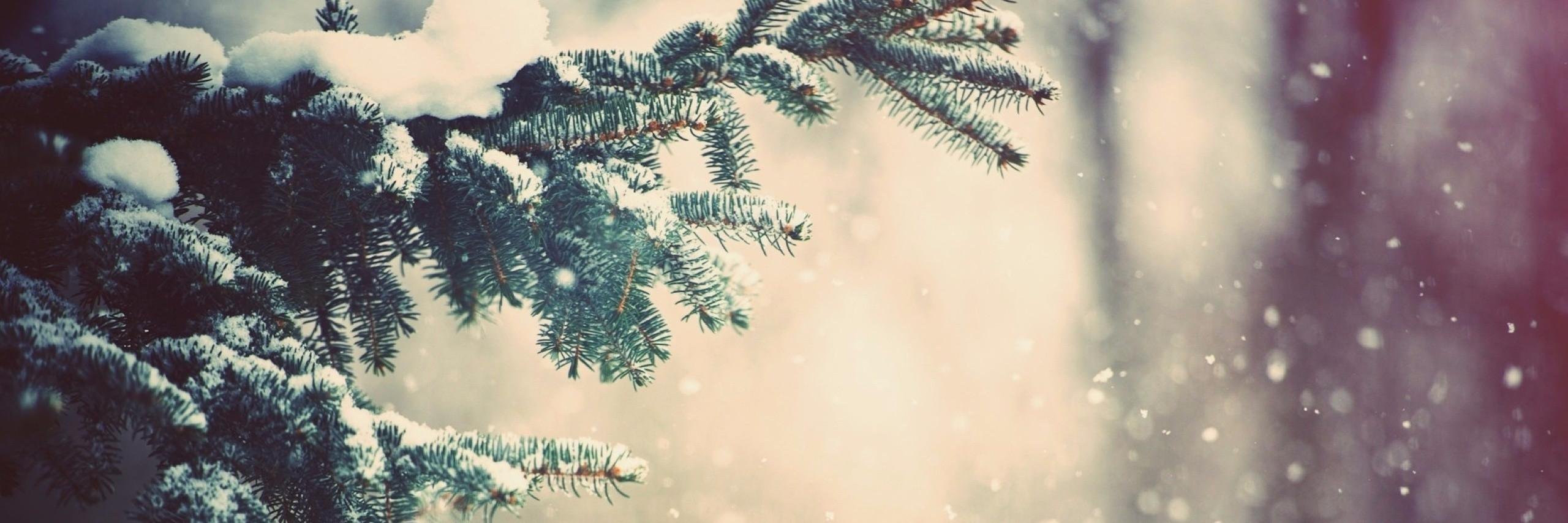 tgckrdglu's profile banner image