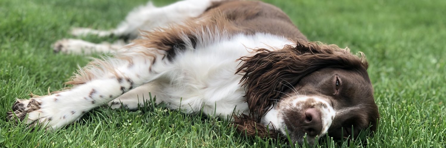 meredithppeters's profile banner image