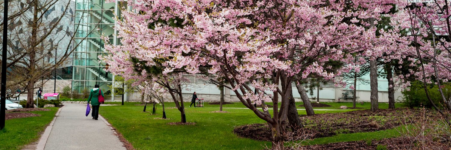 YorkUAlumni's profile banner image