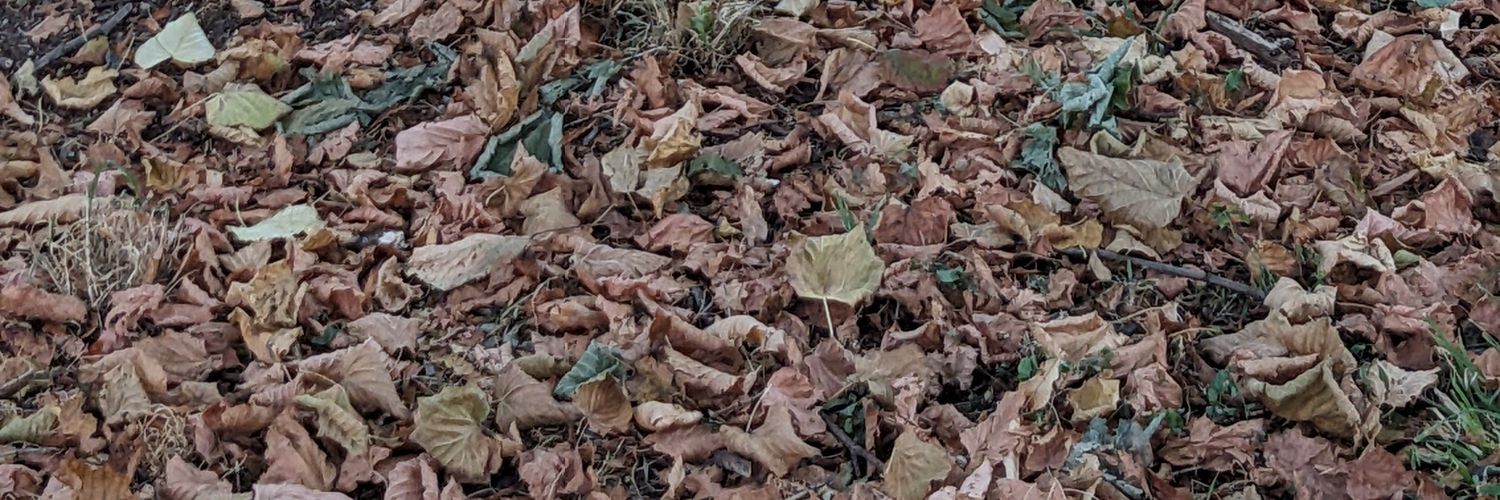 Palumbo0039's profile banner image