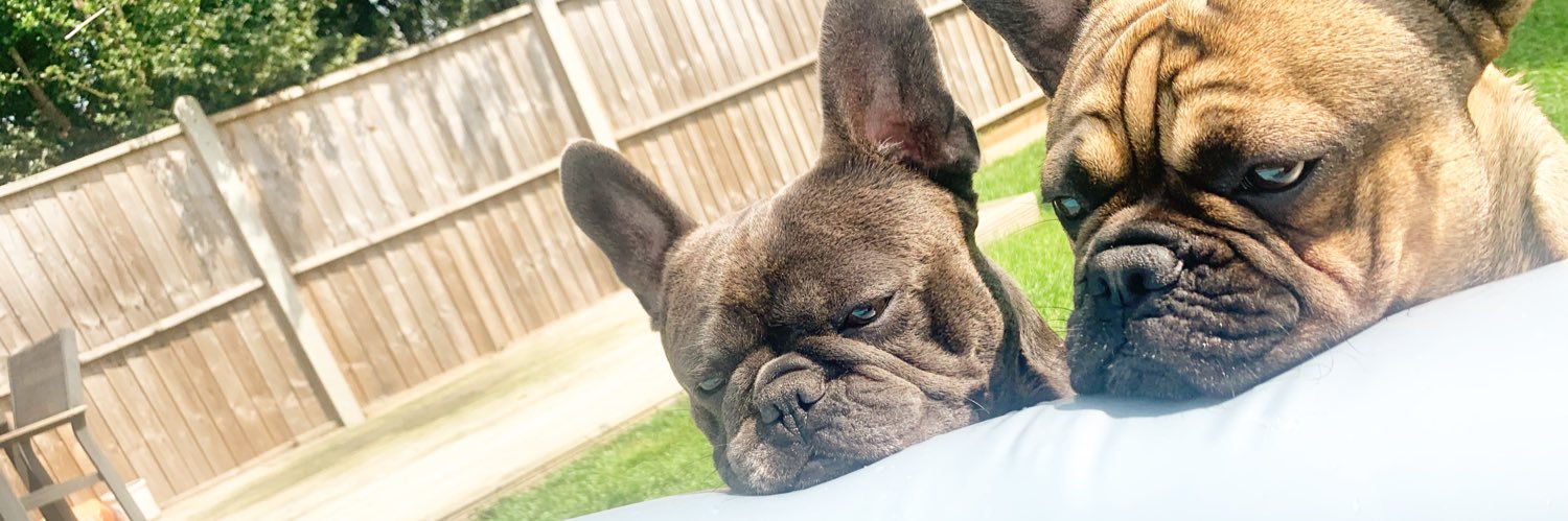 Hannah Kent 🖤 banner