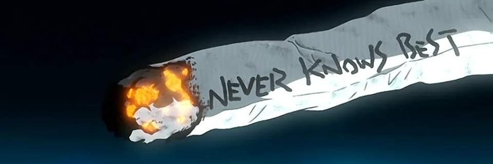 DE1337D's profile banner image