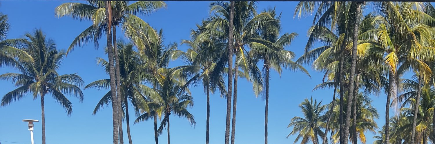 FancyNey's profile banner image