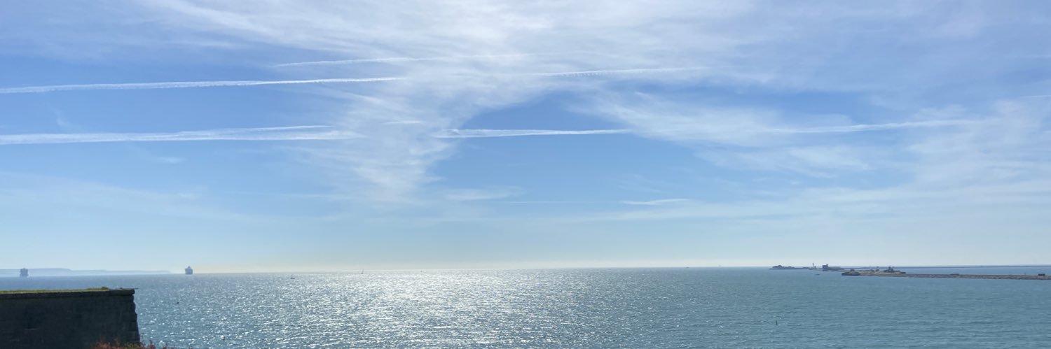 Michael Stanley banner