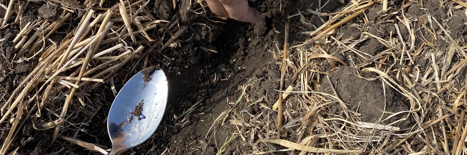 Feed Ingredients banner