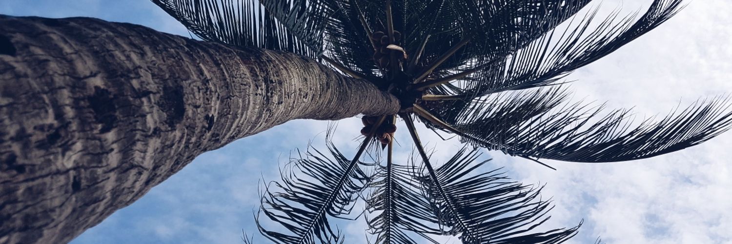 verbser's profile banner image