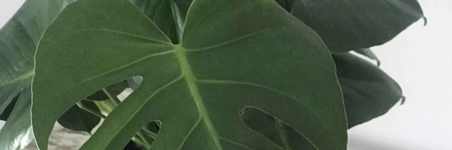 denzsb's profile banner image