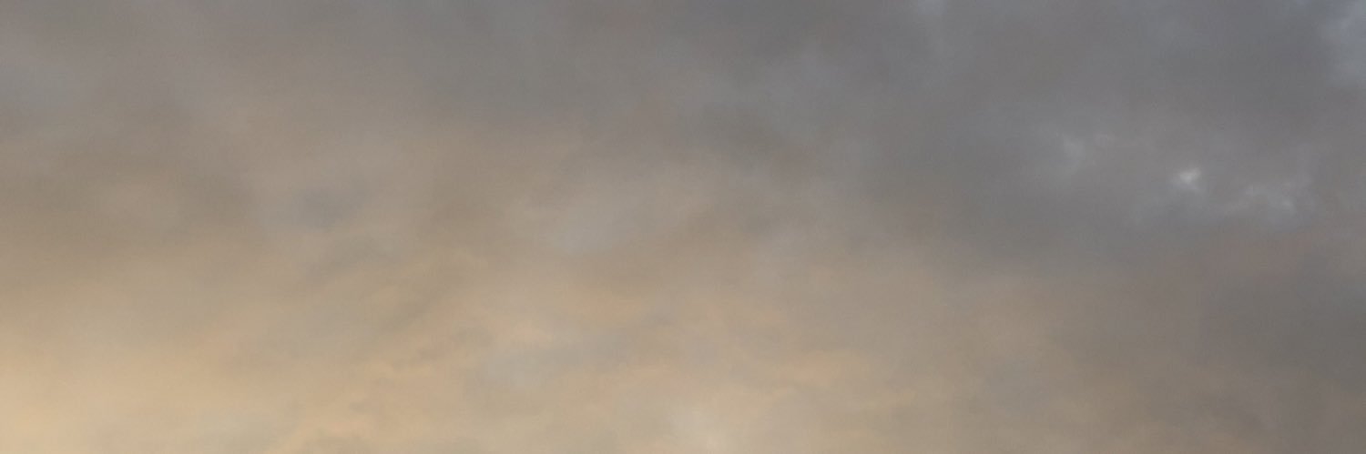 Ann_SSoto's profile banner image