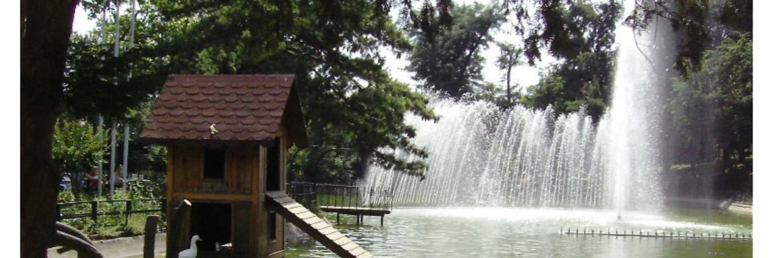 UmsaadS's profile banner image