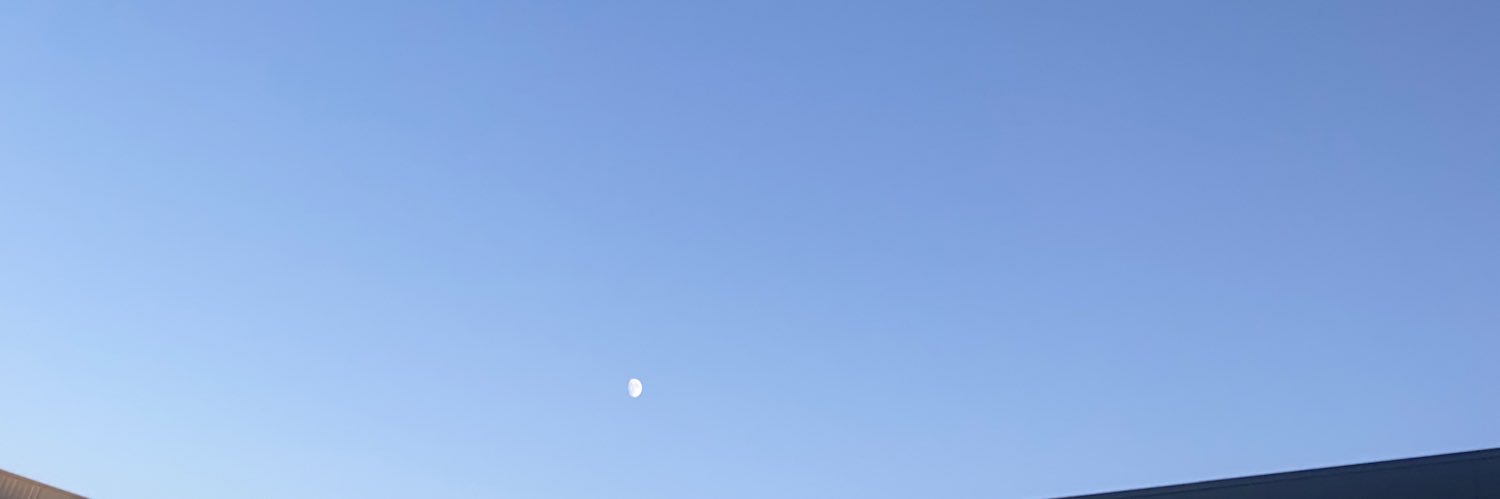 Ana Triviño banner