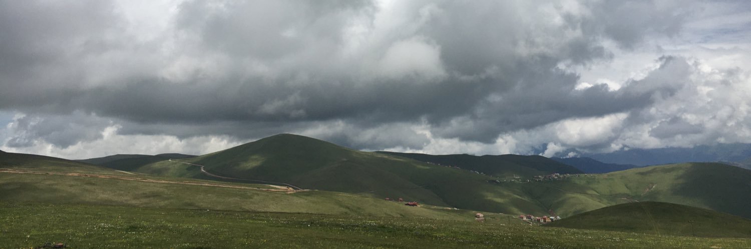 vehbipkr's profile banner image