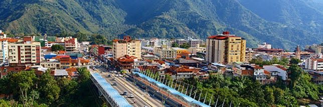 Polímata Kaizén  banner